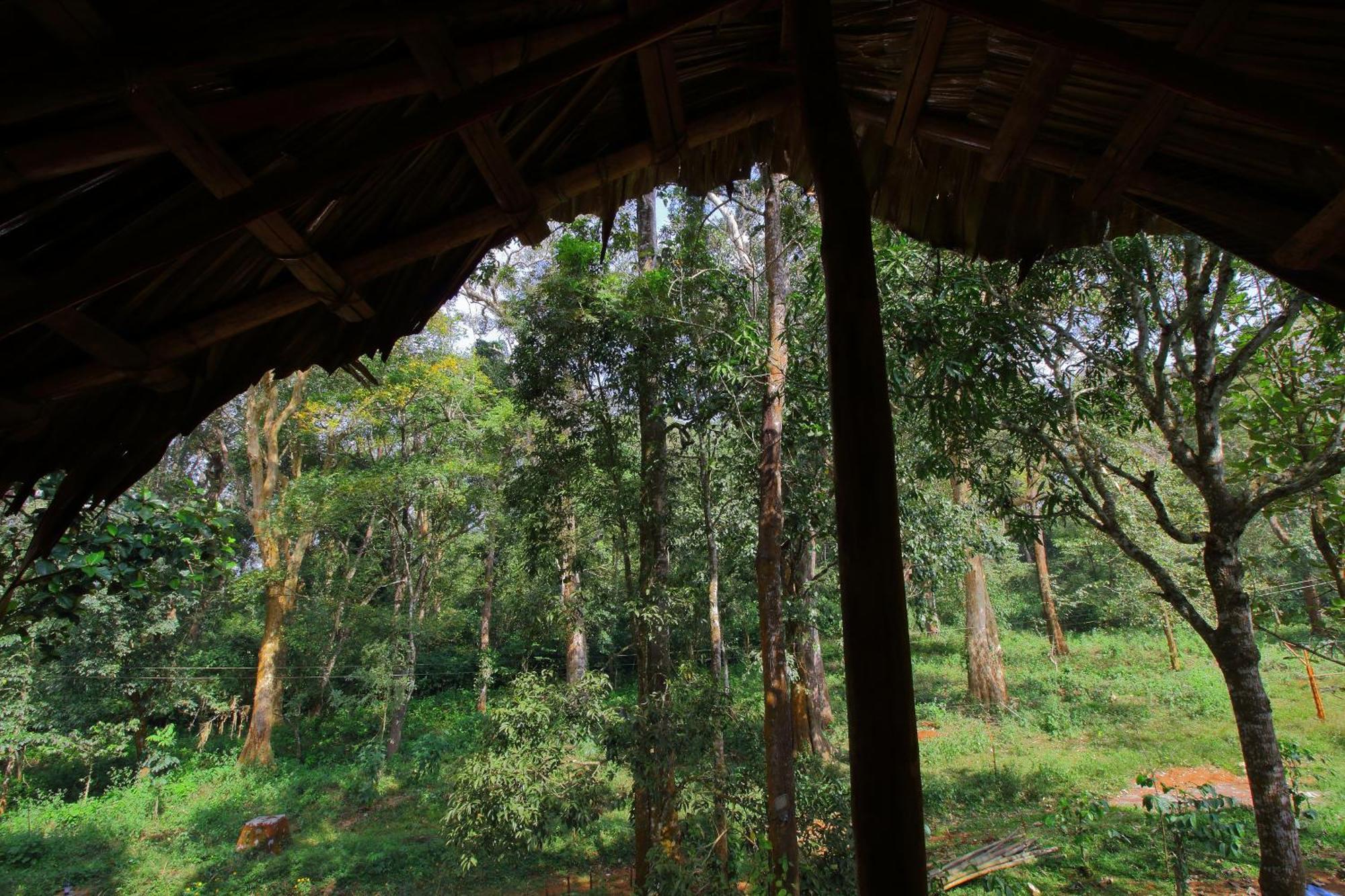 Tall Trees - Modern Forest Villa In Wayanad Sultan Bathery Exterior foto